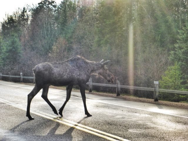 actual physical interaction