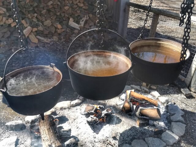 boiling maple syrup in pots over the fire