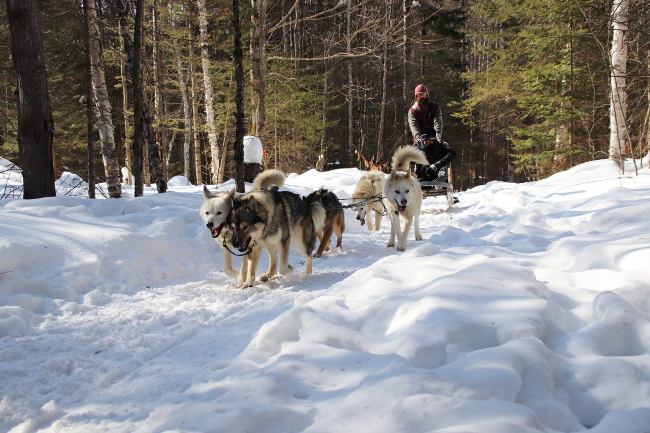 Winter Bucket List