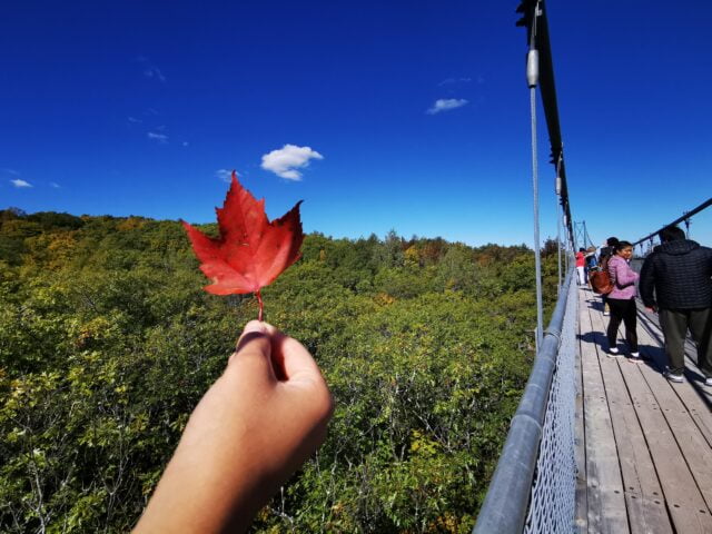 Scenic Caves Bridge